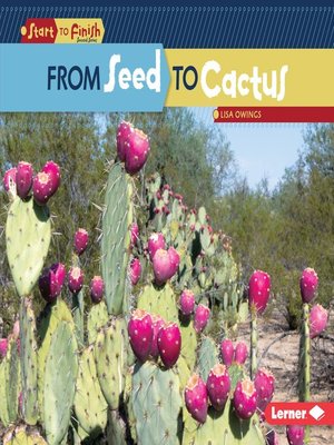 cover image of From Seed to Cactus